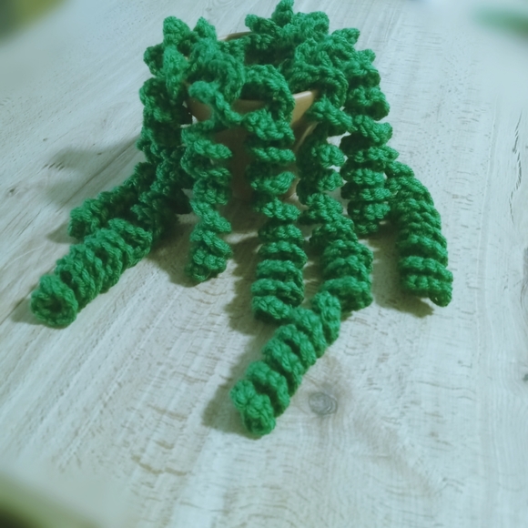Handmade Dangling Curly Succulent Plant - Picture 2 of 4